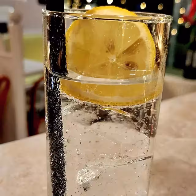 Gin Tonic